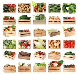 Image of Different fresh vegetables in wooden crates on white background, collage