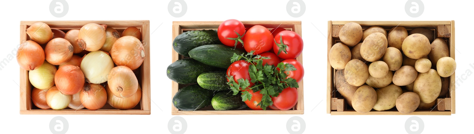 Different fresh vegetables in wooden crates on white background, set. Top view Image of Different fresh vegetables in wooden crates on white background, set. Top view