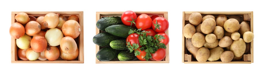 Image of Different fresh vegetables in wooden crates on white background, set. Top view