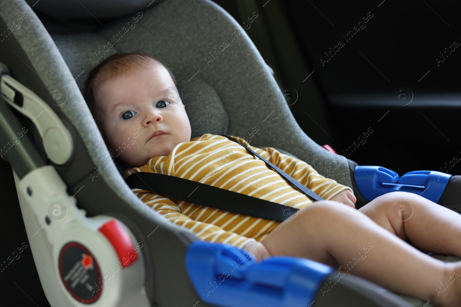Photo of Cute little baby fastened in car seat