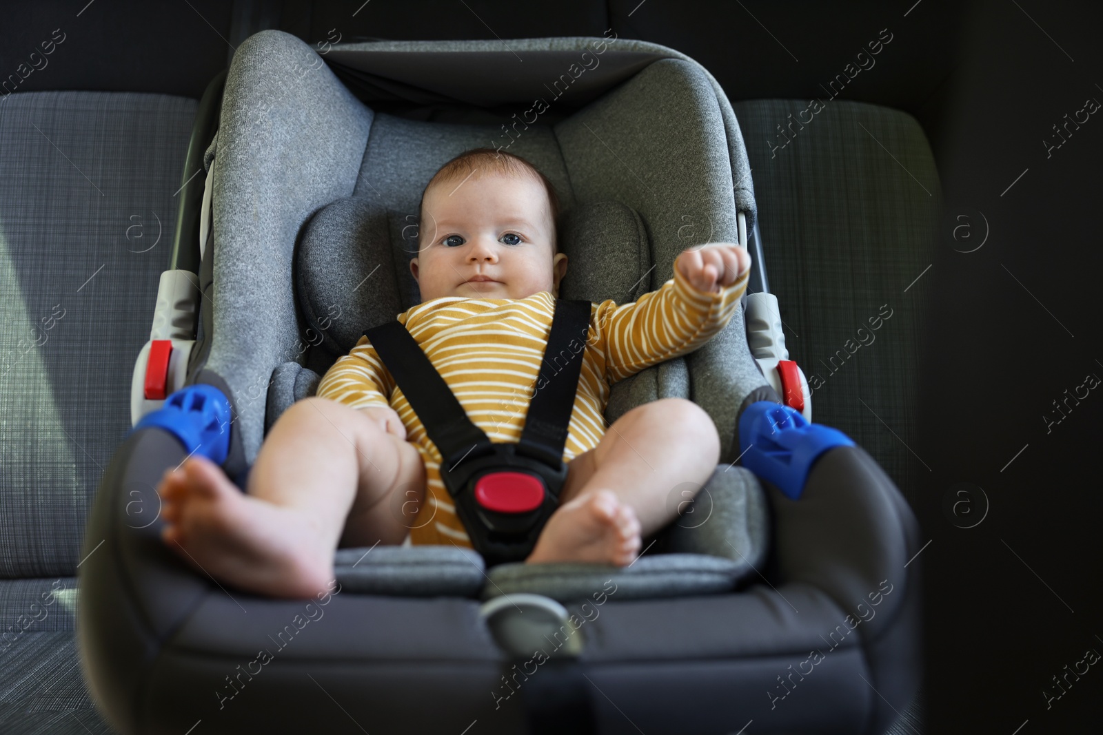 Cute little baby fastened in car seat Photo of Cute little baby fastened in car seat