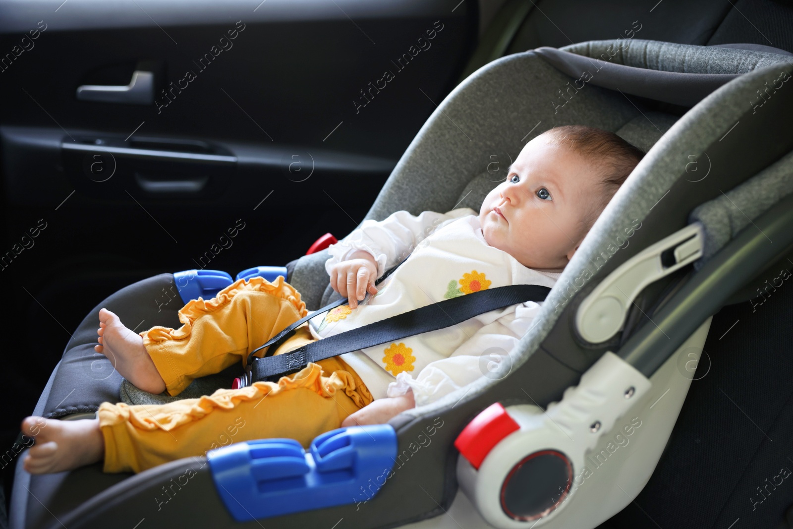 Photo of Cute little baby fastened in car seat
