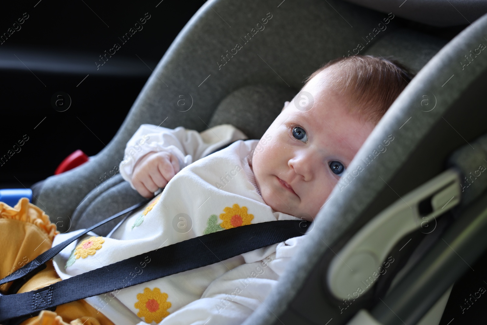 Cute little baby fastened in car seat Photo of Cute little baby fastened in car seat