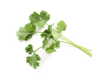 Photo of Fresh cilantro isolated on white, top view
