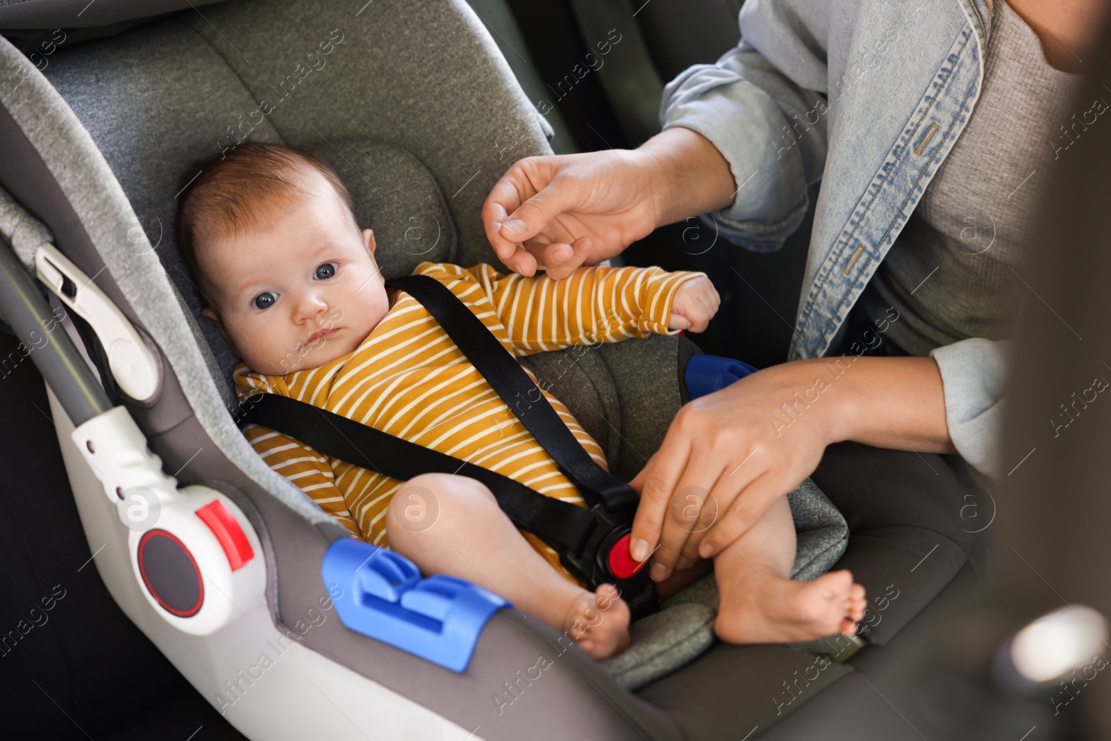 Mother fastening her baby in car seat, closeup Photo of Mother fastening her baby in car seat, closeup