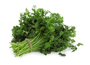 Photo of Bunch of fresh cilantro isolated on white