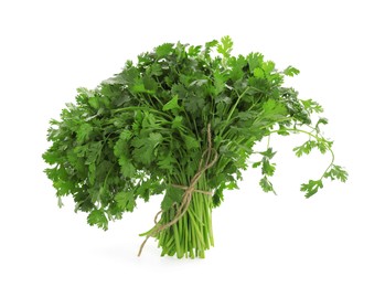 Photo of Bunch of fresh cilantro isolated on white