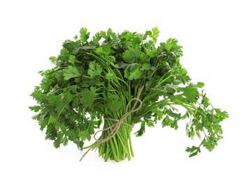 Photo of Bunch of fresh cilantro isolated on white