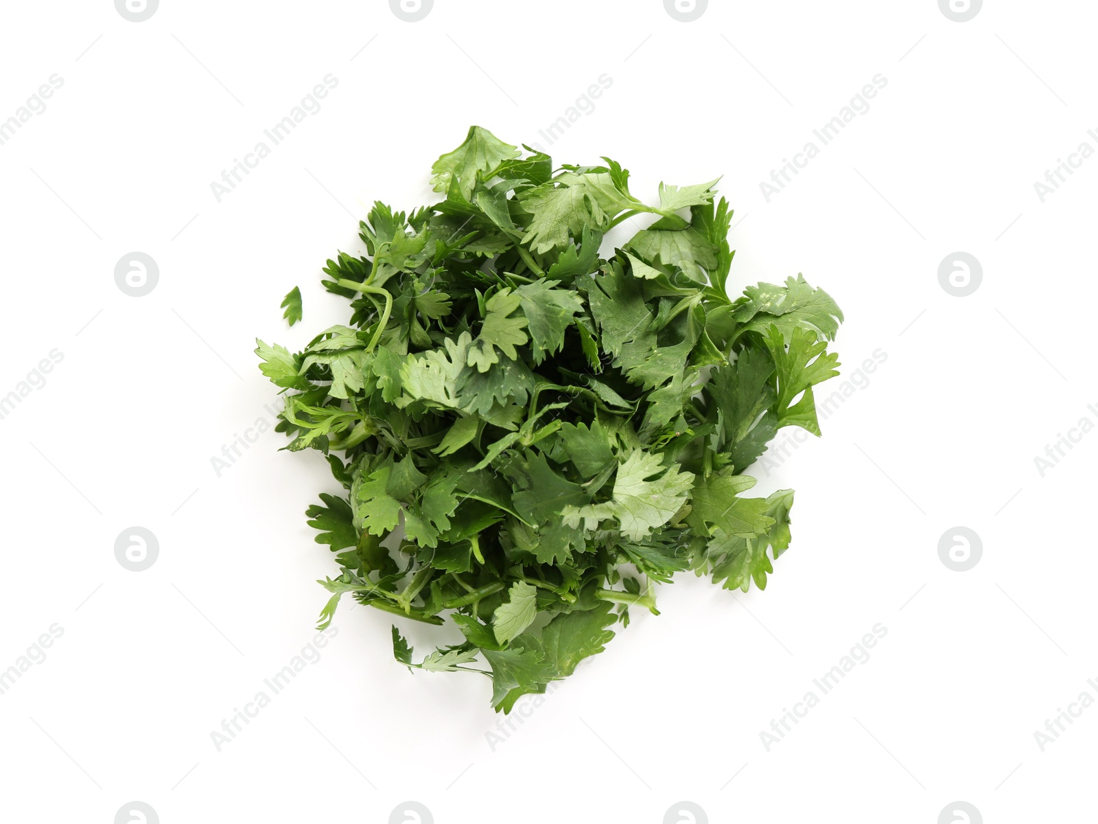 Pile of fresh cilantro sprigs isolated on white, top view Photo of Pile of fresh cilantro sprigs isolated on white, top view