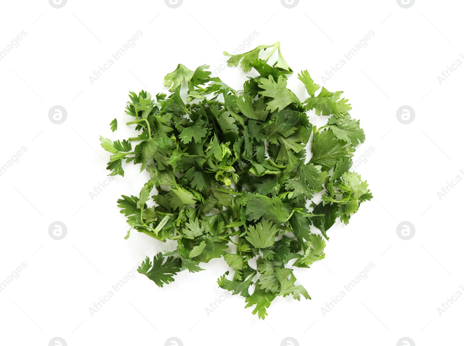 Pile of fresh cilantro sprigs isolated on white, top view Photo of Pile of fresh cilantro sprigs isolated on white, top view