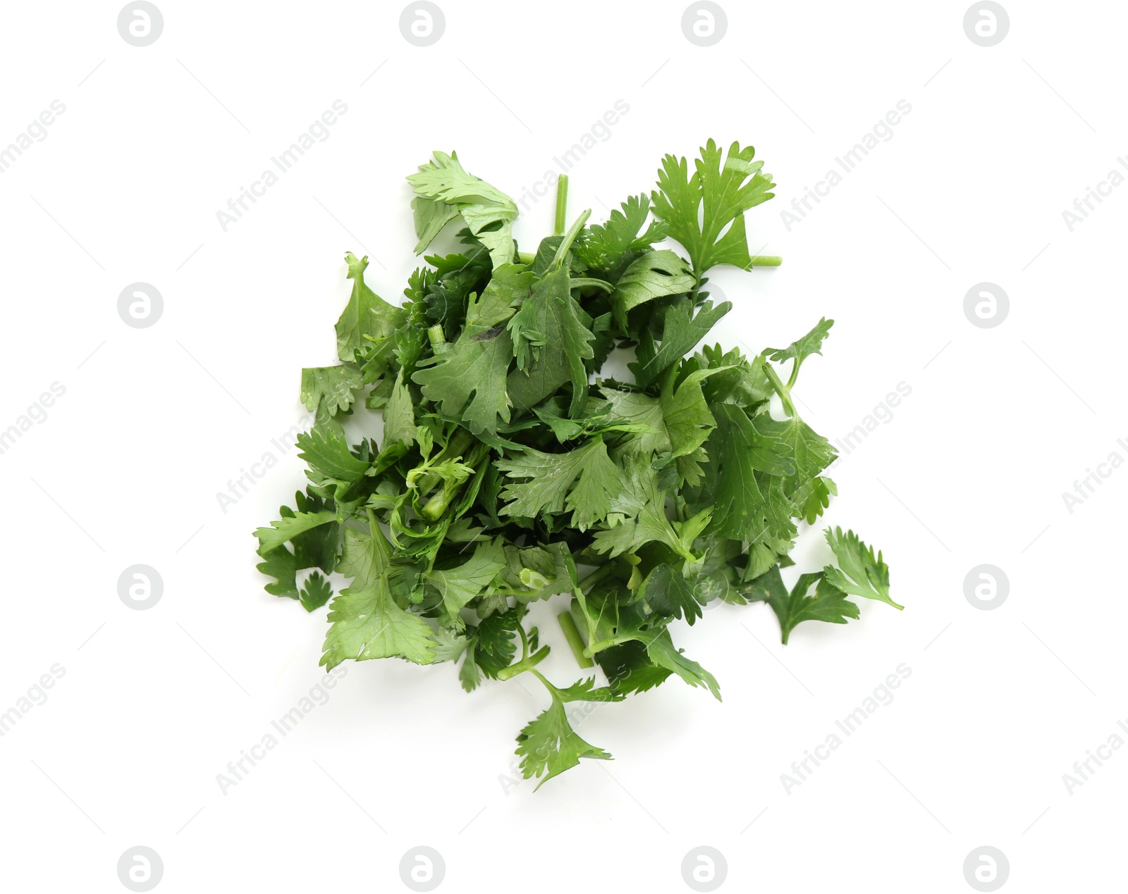 Pile of fresh cilantro sprigs isolated on white, top view Photo of Pile of fresh cilantro sprigs isolated on white, top view