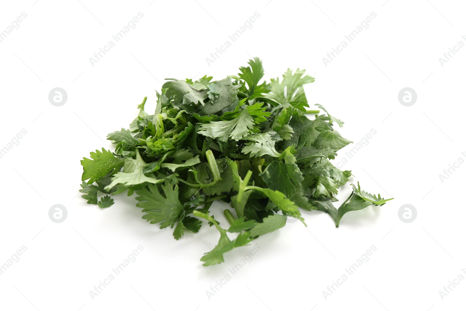 Pile of fresh cilantro sprigs isolated on white Photo of Pile of fresh cilantro sprigs isolated on white