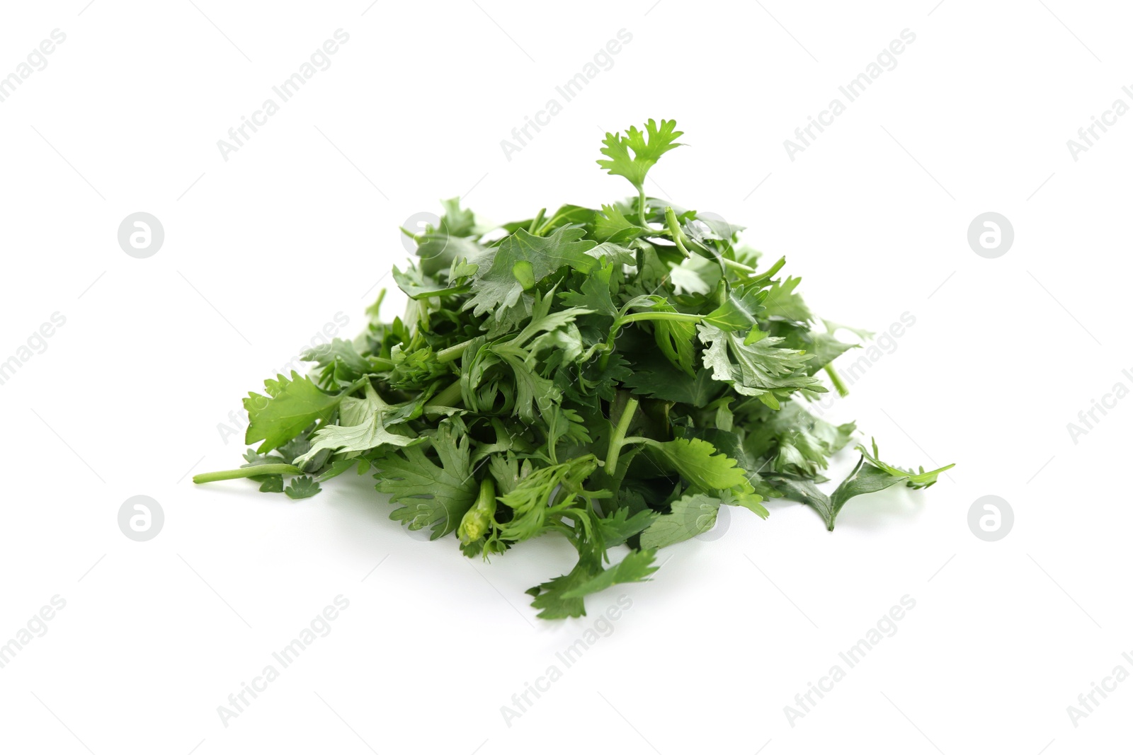 Pile of fresh cilantro sprigs isolated on white Photo of Pile of fresh cilantro sprigs isolated on white