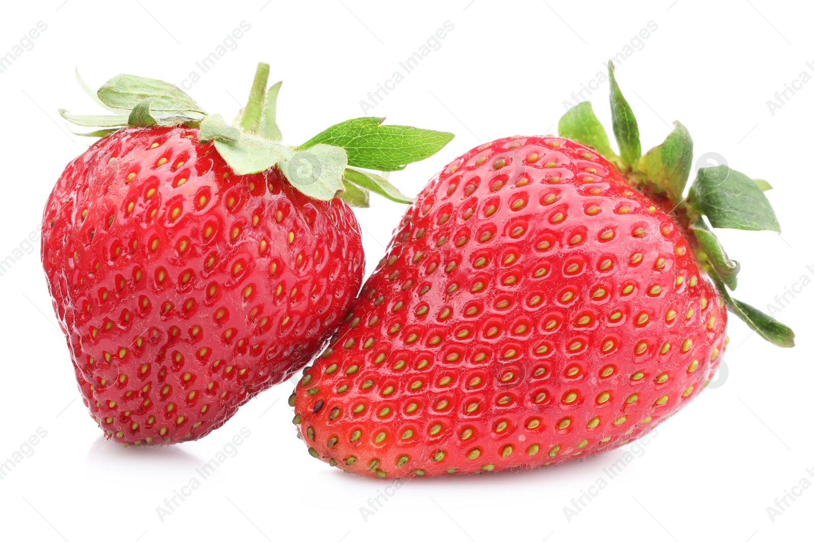 Fresh strawberries isolated on white. Seasonal berries Photo of Fresh strawberries isolated on white. Seasonal berries