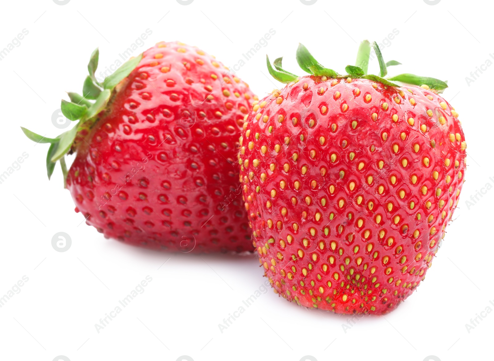 Fresh strawberries isolated on white. Seasonal berries Photo of Fresh strawberries isolated on white. Seasonal berries