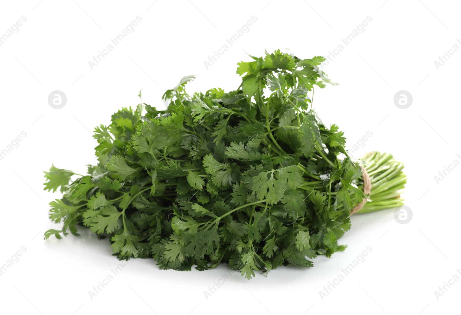 Bunch of fresh cilantro isolated on white Photo of Bunch of fresh cilantro isolated on white