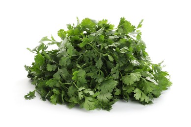 Photo of Fresh cilantro isolated on white. Aromatic condiment