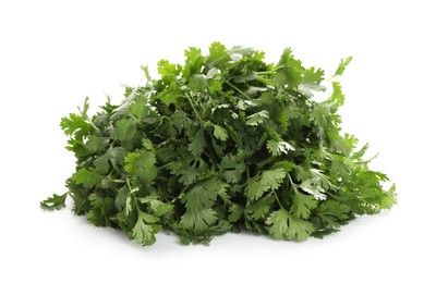 Photo of Fresh cilantro isolated on white. Aromatic condiment