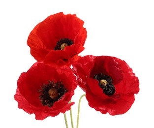 Photo of Bouquet of beautiful poppy flowers isolated on white