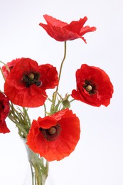 Photo of Bouquet of beautiful poppy flowers isolated on white