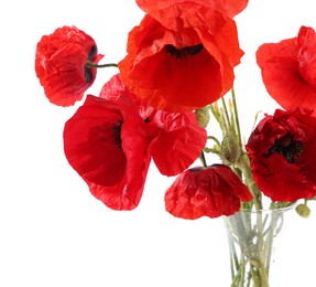 Photo of Bouquet of beautiful poppy flowers in vase isolated on white