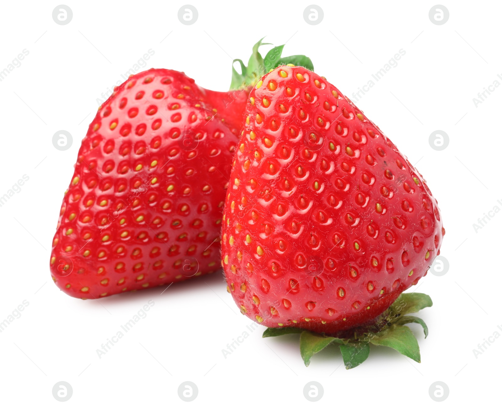 Two fresh ripe strawberries isolated on white Photo of Two fresh ripe strawberries isolated on white