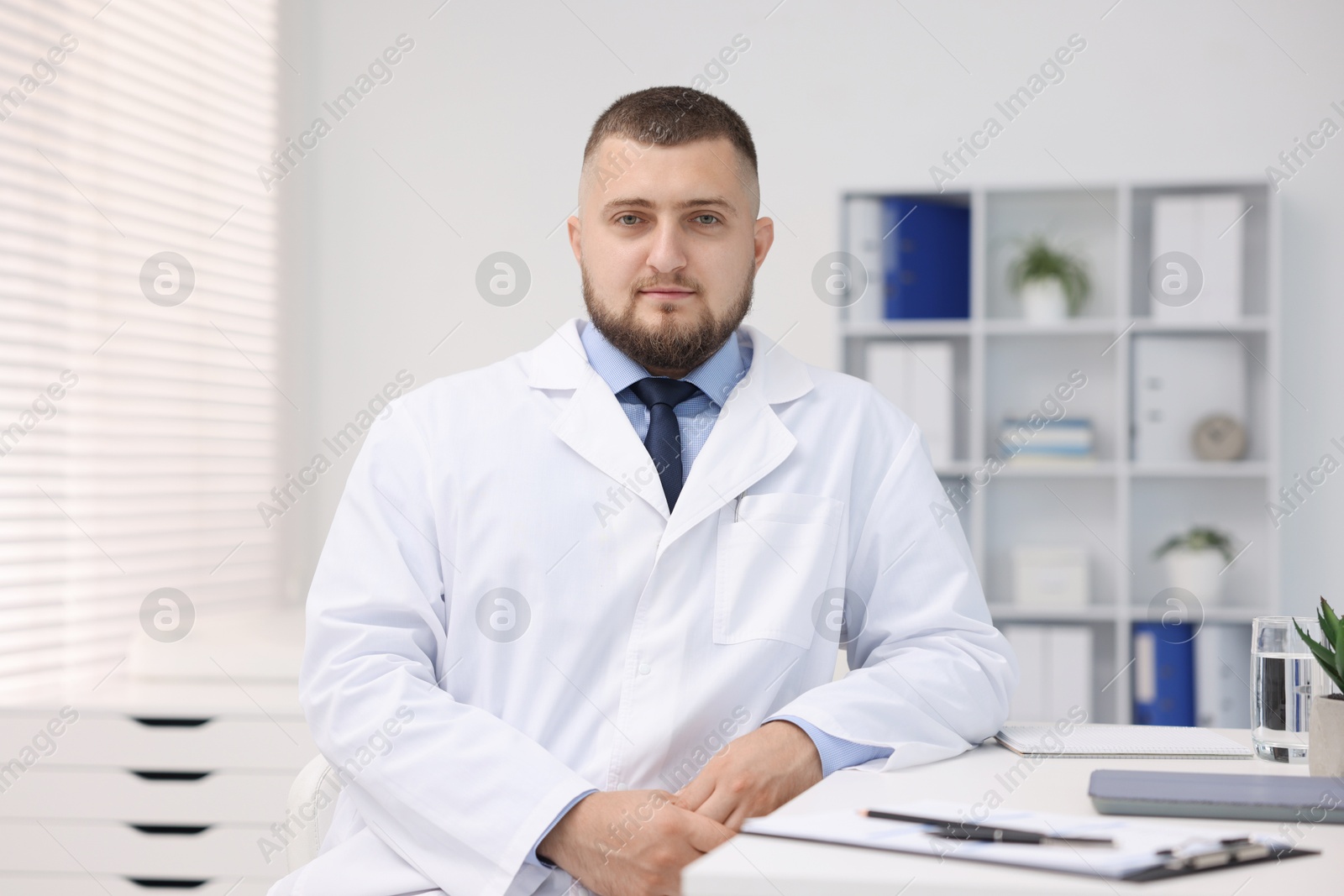 Portrait of doctor in uniform at table indoors Photo of Portrait of doctor in uniform at table indoors