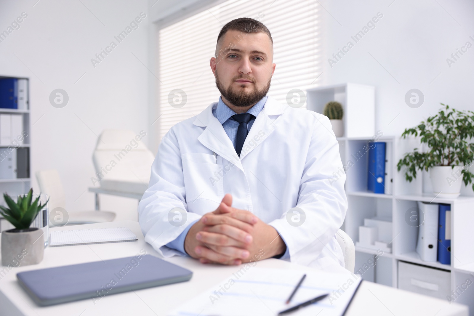 Portrait of doctor in uniform at table indoors Photo of Portrait of doctor in uniform at table indoors
