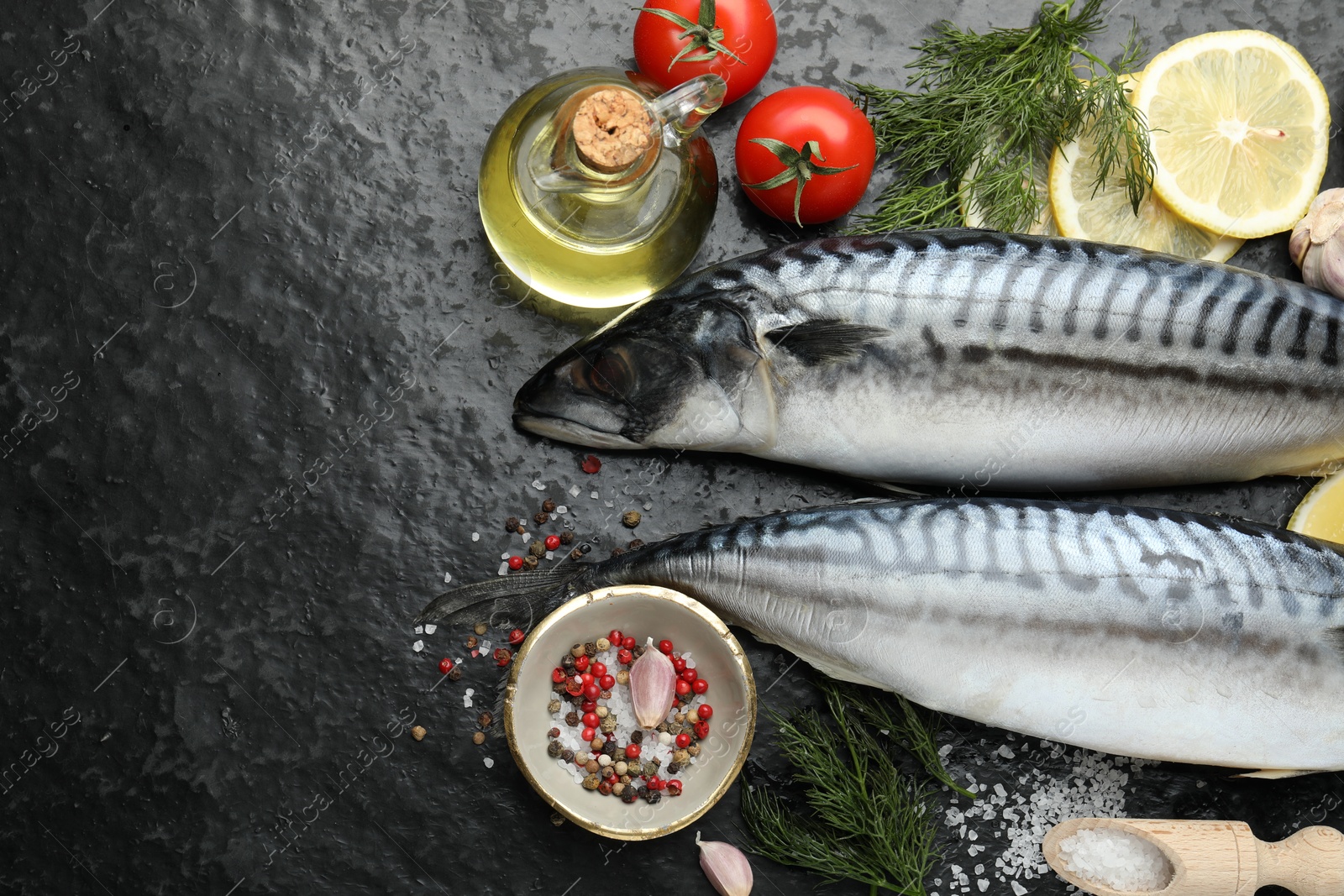 Seafood delicacies. Fresh raw mackerels and spices on black table, flat lay. Space for text Photo of Seafood delicacies. Fresh raw mackerels and spices on black table, flat lay. Space for text