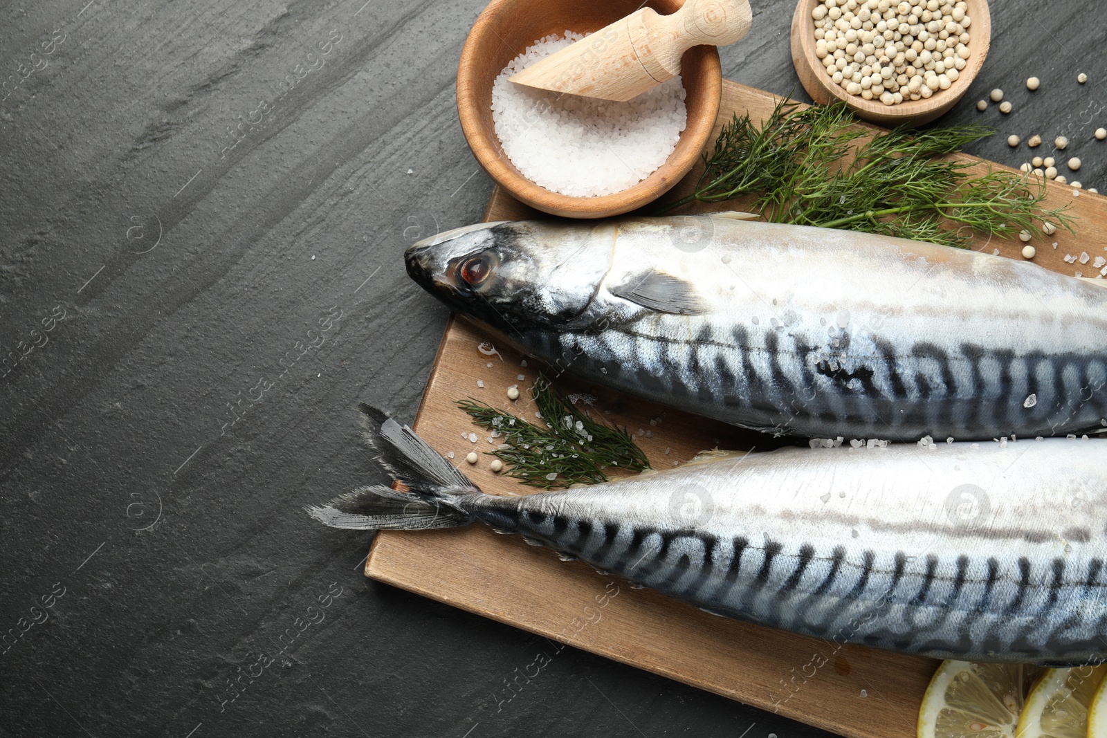 Seafood delicacies. Fresh raw mackerels and spices on black table, flat lay. Space for text Photo of Seafood delicacies. Fresh raw mackerels and spices on black table, flat lay. Space for text