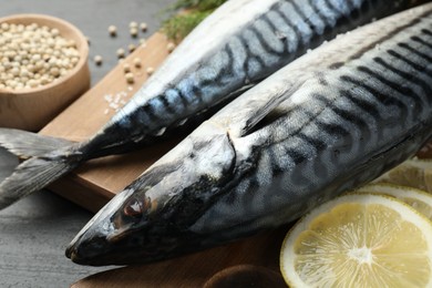 Photo of Fresh raw mackerels and spices on black table, closeup. Seafood delicacies