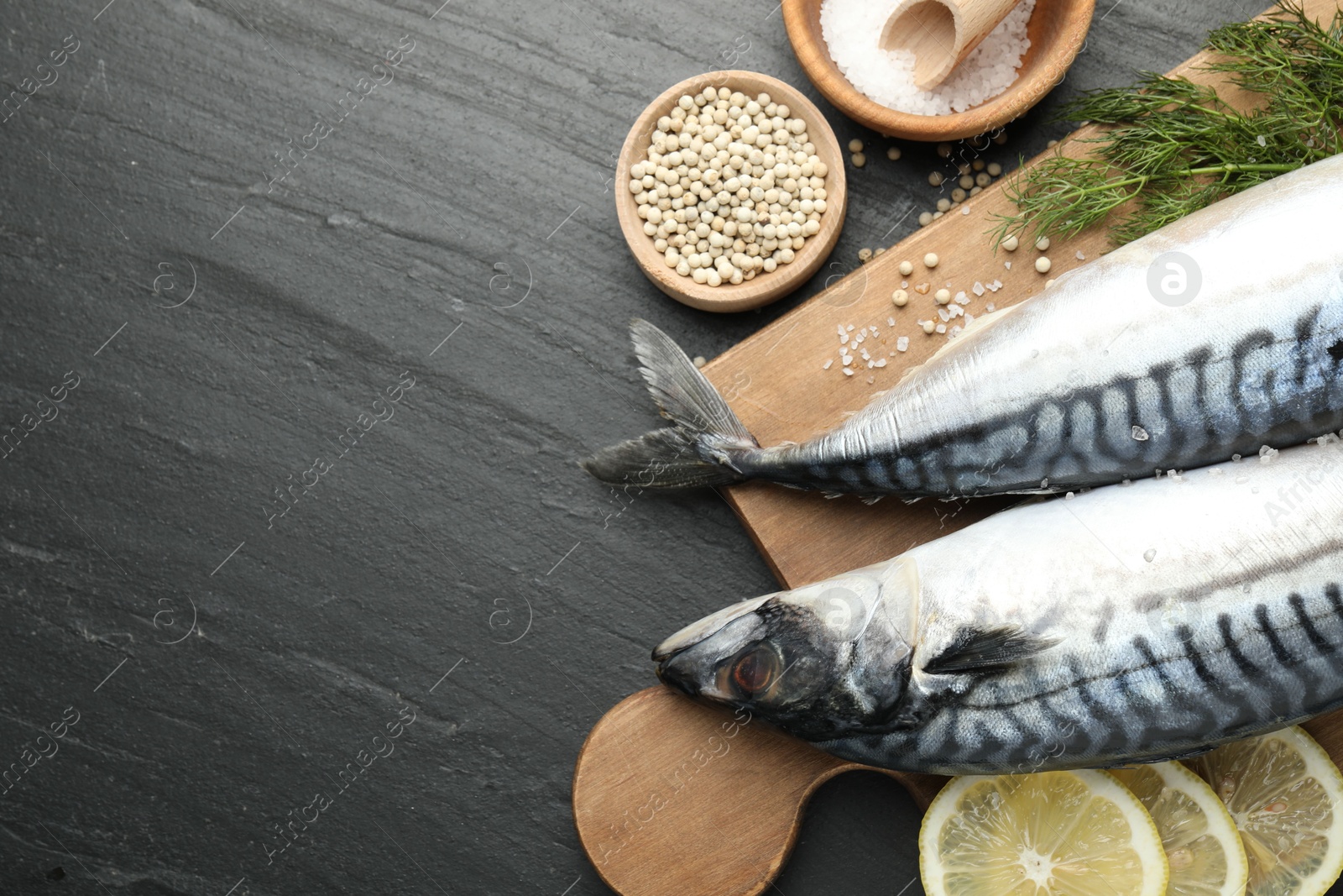 Seafood delicacies. Fresh raw mackerels and spices on black table, flat lay. Space for text Photo of Seafood delicacies. Fresh raw mackerels and spices on black table, flat lay. Space for text