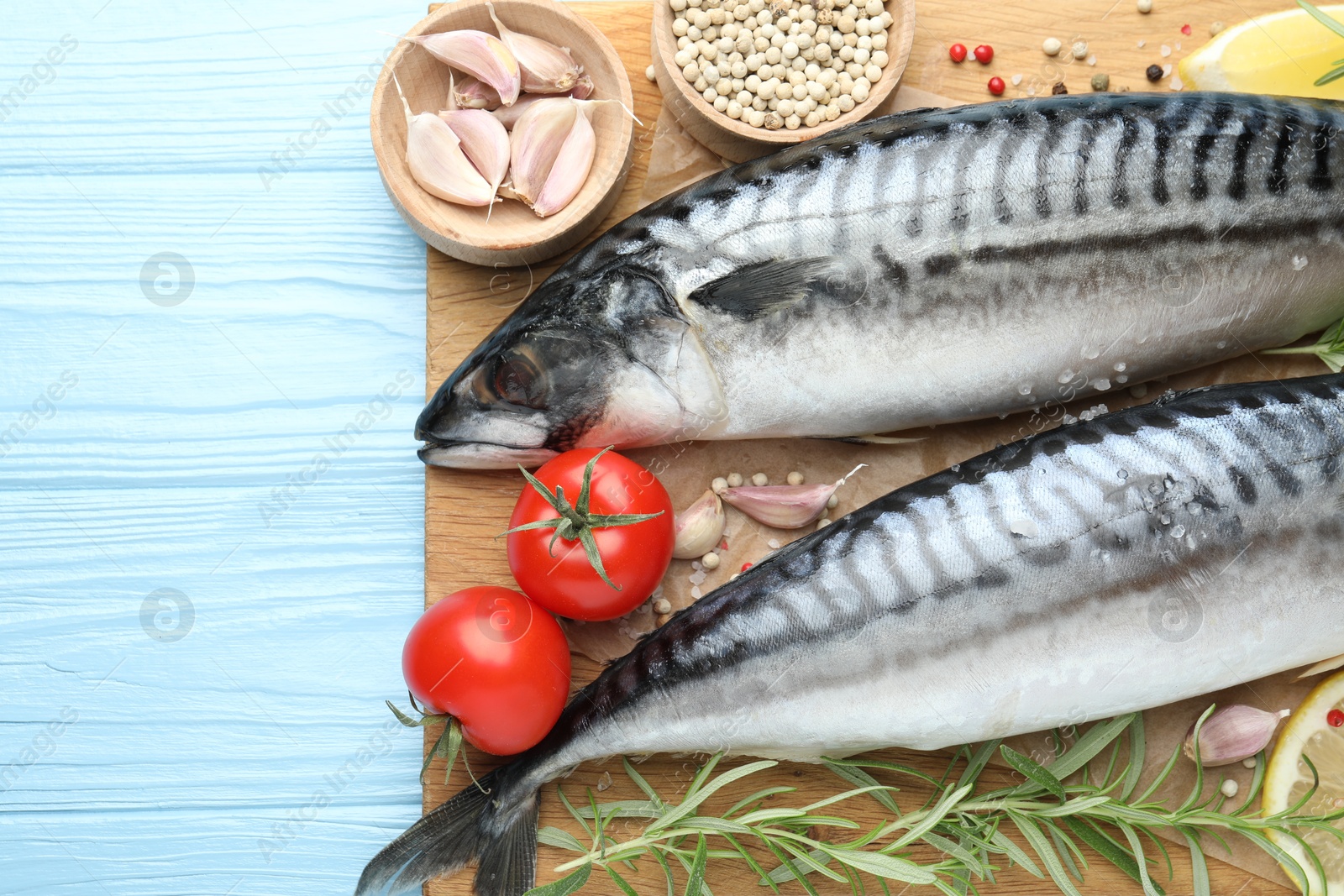 Seafood delicacies. Fresh raw mackerels and spices on light blue wooden table, flat lay. Space for text Photo of Seafood delicacies. Fresh raw mackerels and spices on light blue wooden table, flat lay. Space for text