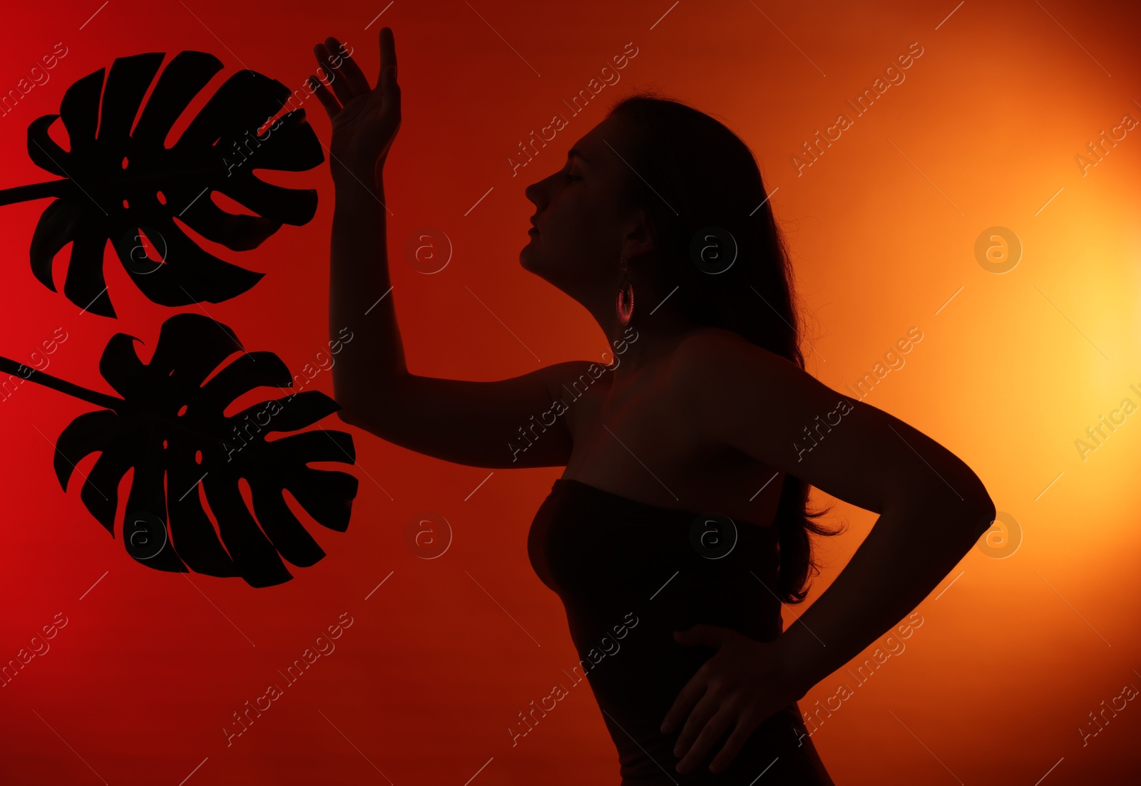 Silhouette of woman and tropical leaves on red gradient background Photo of Silhouette of woman and tropical leaves on red gradient background