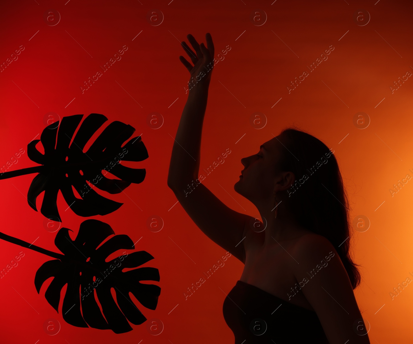 Silhouette of woman and tropical leaves on red gradient background Photo of Silhouette of woman and tropical leaves on red gradient background
