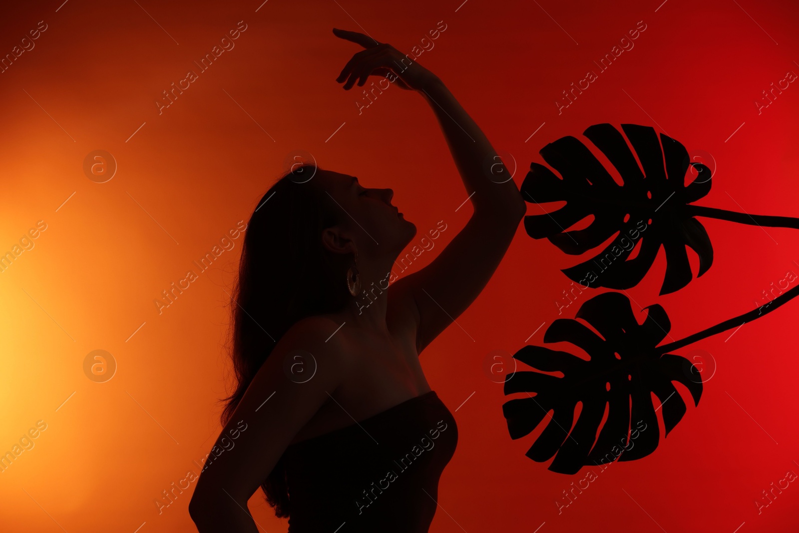 Silhouette of woman and tropical leaves on red gradient background Photo of Silhouette of woman and tropical leaves on red gradient background