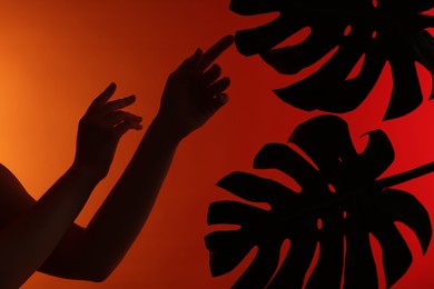 Photo of Silhouette of woman and tropical leaves on red gradient background, closeup