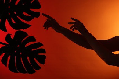 Photo of Silhouette of woman and tropical leaves on red gradient background, closeup