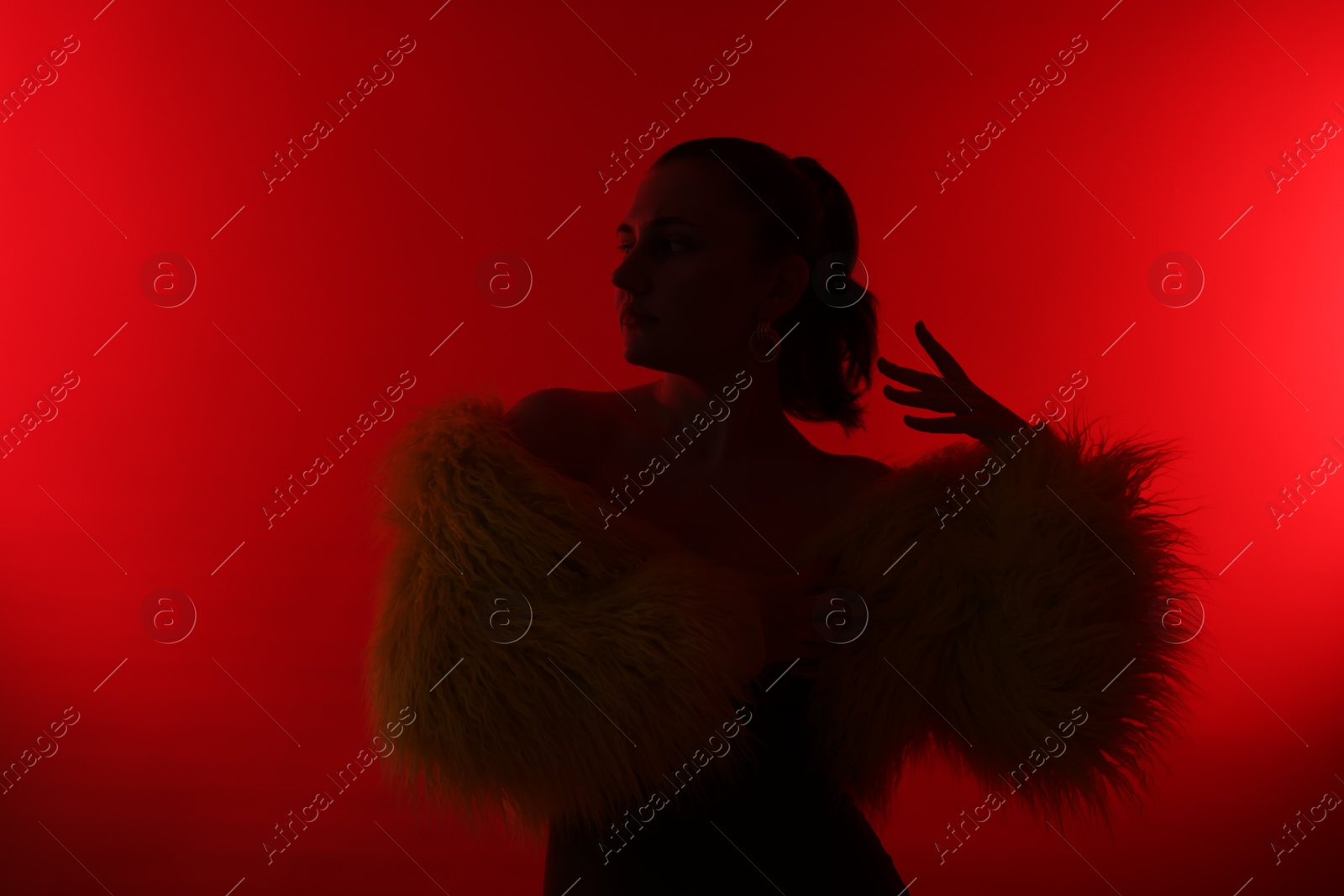 Silhouette of woman in stylish outfit posing on red background Photo of Silhouette of woman in stylish outfit posing on red background