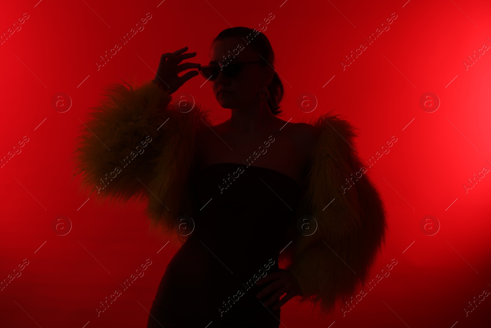 Silhouette of woman in stylish outfit posing on red background Photo of Silhouette of woman in stylish outfit posing on red background