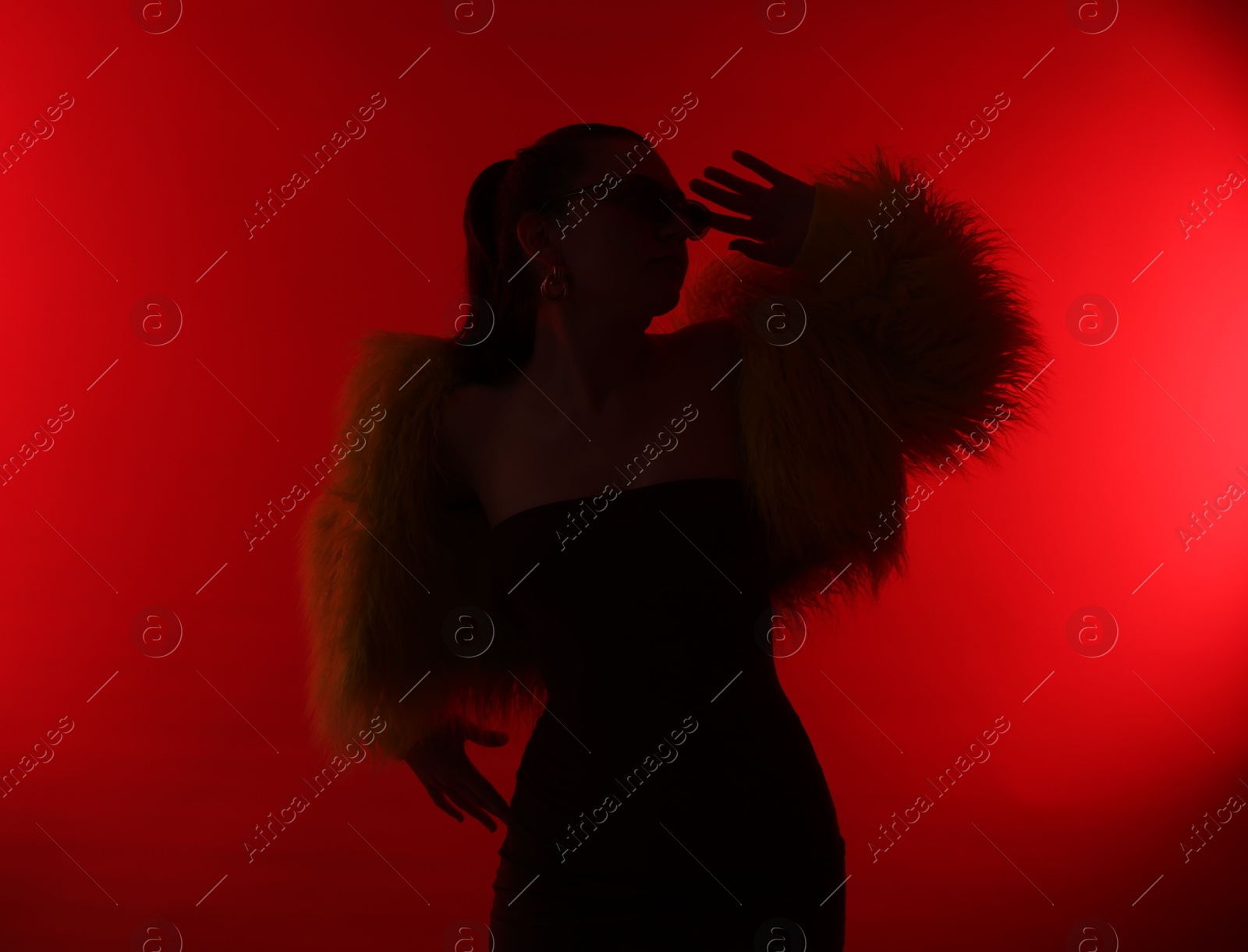 Silhouette of woman in stylish outfit posing on red background Photo of Silhouette of woman in stylish outfit posing on red background