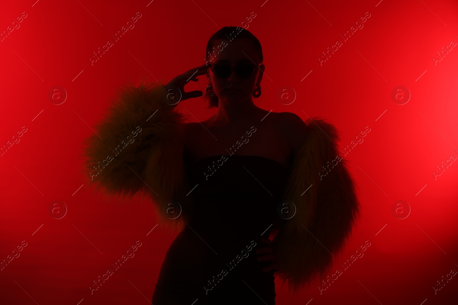 Silhouette of woman in stylish outfit posing on red background Photo of Silhouette of woman in stylish outfit posing on red background