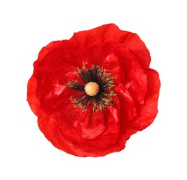 Photo of One beautiful poppy flower isolated on white