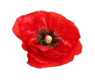 Photo of One beautiful poppy flower isolated on white