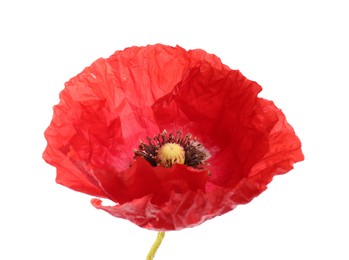 Photo of One beautiful poppy flower isolated on white