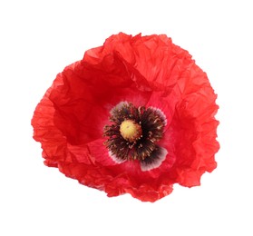Photo of One beautiful poppy flower isolated on white