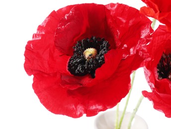 Photo of Bouquet of beautiful poppy flowers isolated on white