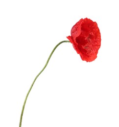 Photo of One beautiful poppy flower isolated on white