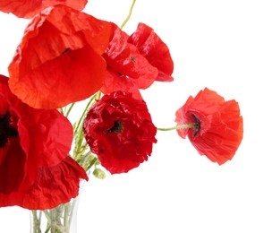 Photo of Bouquet of beautiful poppy flowers isolated on white