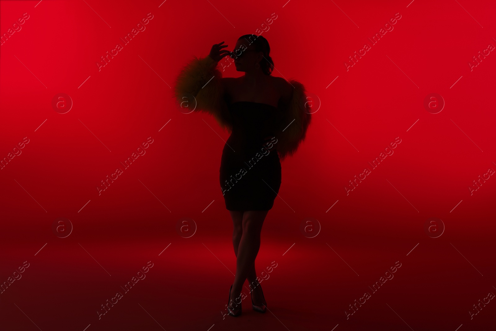 Silhouette of woman in stylish outfit posing on red background Photo of Silhouette of woman in stylish outfit posing on red background